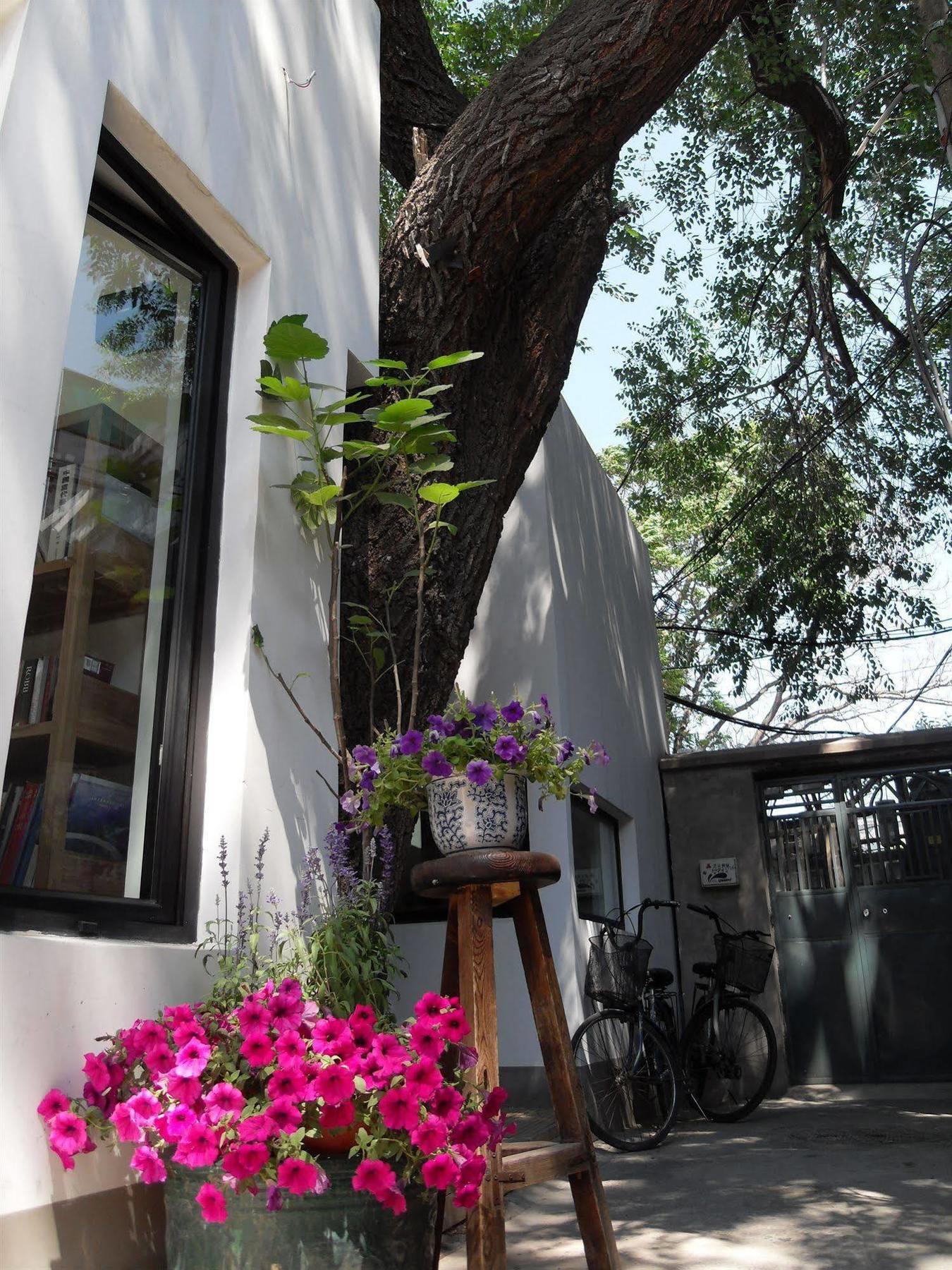 Beijing Wohkoon Hostel-Nan Luo Gu Xiang Branch Kültér fotó